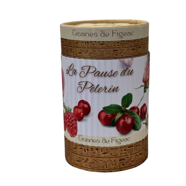 LA PAUSE DU PÉLERIN – Image 2